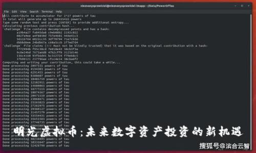 明光虚拟币：未来数字资产投资的新机遇
