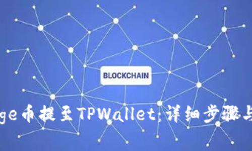 如何将Doge币提至TPWallet：详细步骤与注意事项