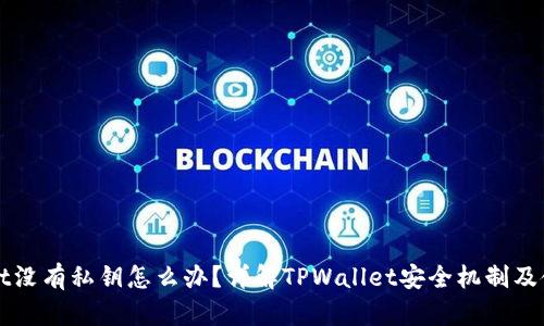 TPWallet没有私钥怎么办？详解TPWallet安全机制及使用技巧