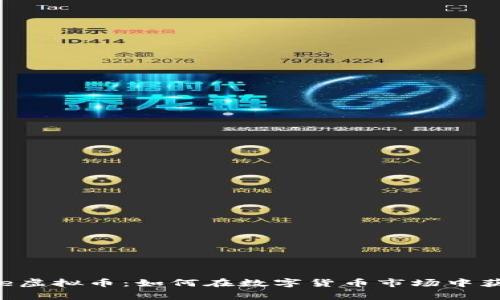 BigDoge虚拟币：如何在数字货币市场中获取利润